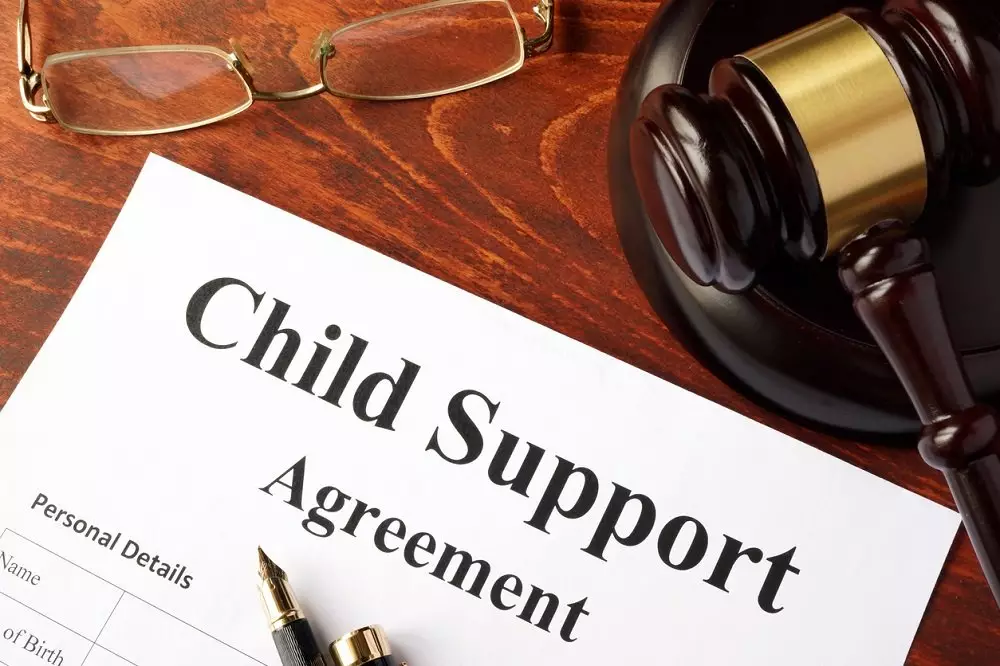 Guardianship Law